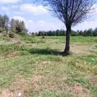فروش زمین ۱۰۶ متر|فروش زمین و ملک کلنگی|رشت, کوی قدس|دیوار