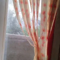 اجاره مغازه|اجارهٔ مغازه و غرفه|بندرعباس, |دیوار