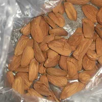 خرید بادام با بهترین قیمت|خدمات باغبانی و درختکاری|سامان, |دیوار