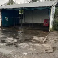 مغازه بر جاده اصلی|فروش مغازه و غرفه|لاهیجان, بازکیاگوراب|دیوار