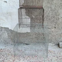 قفس|لوازم جانبی حیوانات|باوی, |دیوار