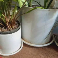 گلدان سفالی