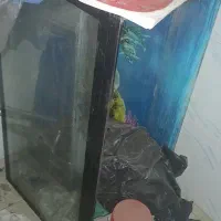 اکواریوم ۸۰ سانت