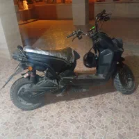 سافاری اداک