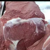 پخش گوشت گرم گوساله کشتار روز باکمتری قیمت