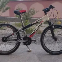 دوچرخه ویوا اصل