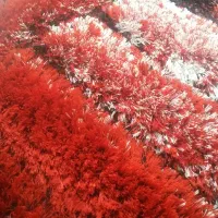 قالیچه