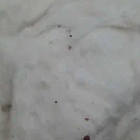 30 کیلو پنبه تمیز