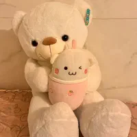 عروسک خرس خارجی