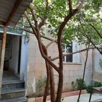 اجاره روزانه/هفتگی/ماهانه آپارتمان ۲۲۰ متری|اجارهٔ کوتاه‌مدت آپارتمان و سوئیت|سمنان, |دیوار