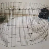 داگ پارک و لانه سگ