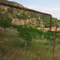 حفر وتعمیر چاه آب|خدمات پیشه و مهارت|عجب شیر, |دیوار