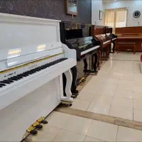پیانو یاماها دیجیتال|پیانو، کیبورد، آکاردئون|کرج, کوی کارمندان جنوبی|دیوار