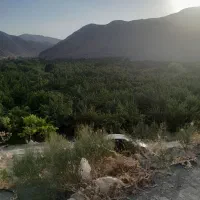 با سلام،نیازمند کارگر ساده جهت سیب جعم کردن