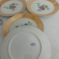 4تا دیوار کوب فرانسه