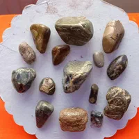 مهره های گبری
