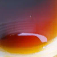 تولیدی شیره خرما صنعتی
