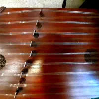 سنتور حرفه‌ی  باهاردکیس