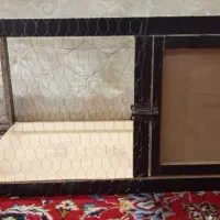 مرغ و خروس مناسب و ....نونو