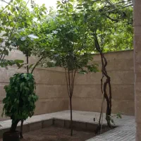 شهرک اوج، اجاره ۱۳۰ متری|اجارهٔ آپارتمان|کرج, شهرک اوج|دیوار