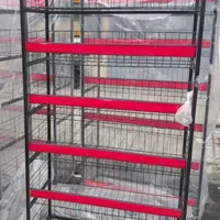 اسنتد ۲در ۱/ قفسه ۶ طبقه/ استند هایپری|فروشگاه و مغازه|تهران, تهرانپارس غربی|دیوار