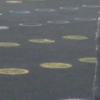 رنگامیزی|خدمات پیشه و مهارت|زاهدان, |دیوار