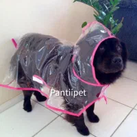 بارانی طلقی سگ و گربه پت شاپ پانتی رشت