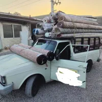 قالیشویی ستاره شهر