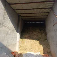 یونجه|لوازم جانبی حیوانات|خوی, |دیوار