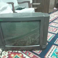 تلویزیون