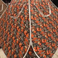 چادر مسافرتی