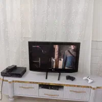 تلویزیون