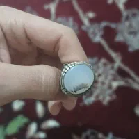 شجر|جواهرات|زنجان, |دیوار