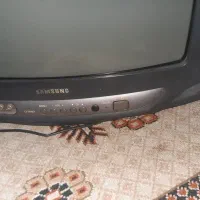 تلویزیون