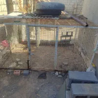 قفس آهنی مرتب وضخیم دودرب سنگین|لوازم جانبی حیوانات|تربت جام, جلگه موسی آباد|دیوار