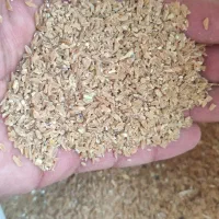 برویش یا بلغور