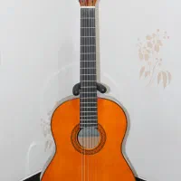 مشتری واقعی پیام بده گیتار اصل