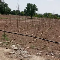 زمین باغی سندباغات روبروی تالارتازه تاسیس|فروش زمین و ملک کلنگی|تهران, کریم‌آباد|دیوار