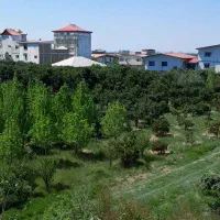 فروش زمین در روستای صنم حاجیکلای قائمشهر