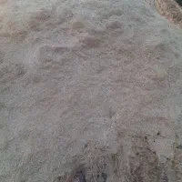 کاه نرم مناسب گوسفند