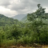 715متر پروانه دار سنددار|فروش زمین و ملک کلنگی|املش, |دیوار