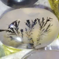 نگین انگشتر عقیق سلیمانی چهره شجر اصل معدنی