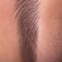 آرایش دائم فیبروز آموزش|خدمات آموزشی|تهران, میرداماد|دیوار