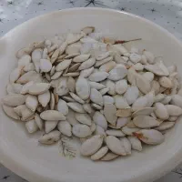 تخم کدو|عمده‌فروشی|شهرضا, |دیوار