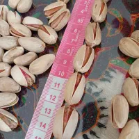 بازرگانی هاشمی و منشی