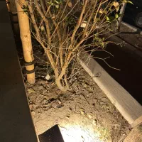 سالن کار صبحانه زن صندوقدار