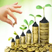 نیازمند سرمایه یا شریک