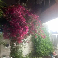 ۶۶ متر تک خواب تمیز