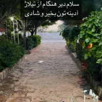 باریستا
