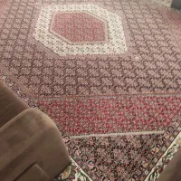 فرش 12متری فرهی عالی درحد|فرش|ساری, |دیوار